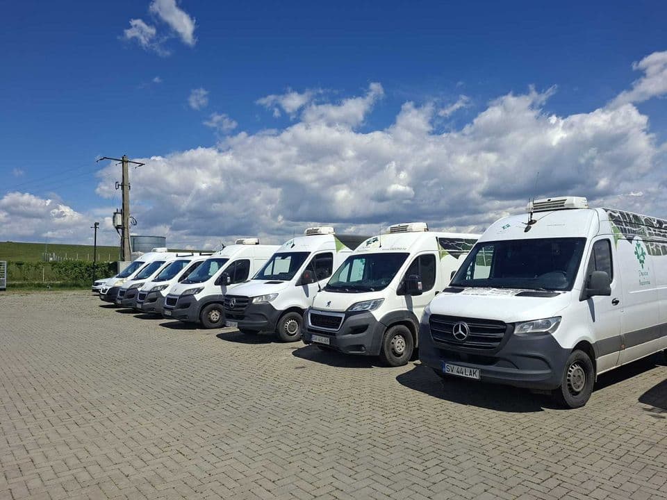 Lichidam flota auto , Mercedes Sprinter Frigorific , Peugeot Boxer Frigorific , Peugeot Boxer Camioneta