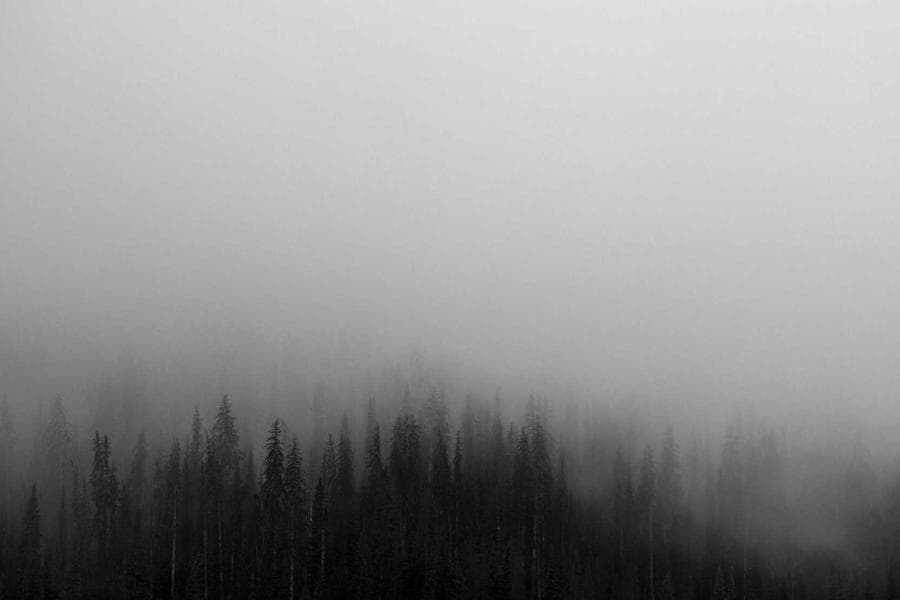 Programator Full-Stack (React / Node.js)