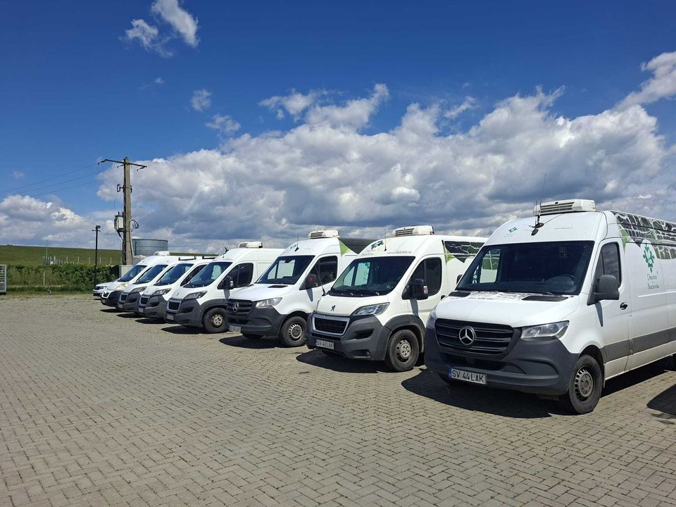 Lichidam flota auto , Mercedes Sprinter Frigorific , Peugeot Boxer Frigorific , Peugeot Boxer Camioneta